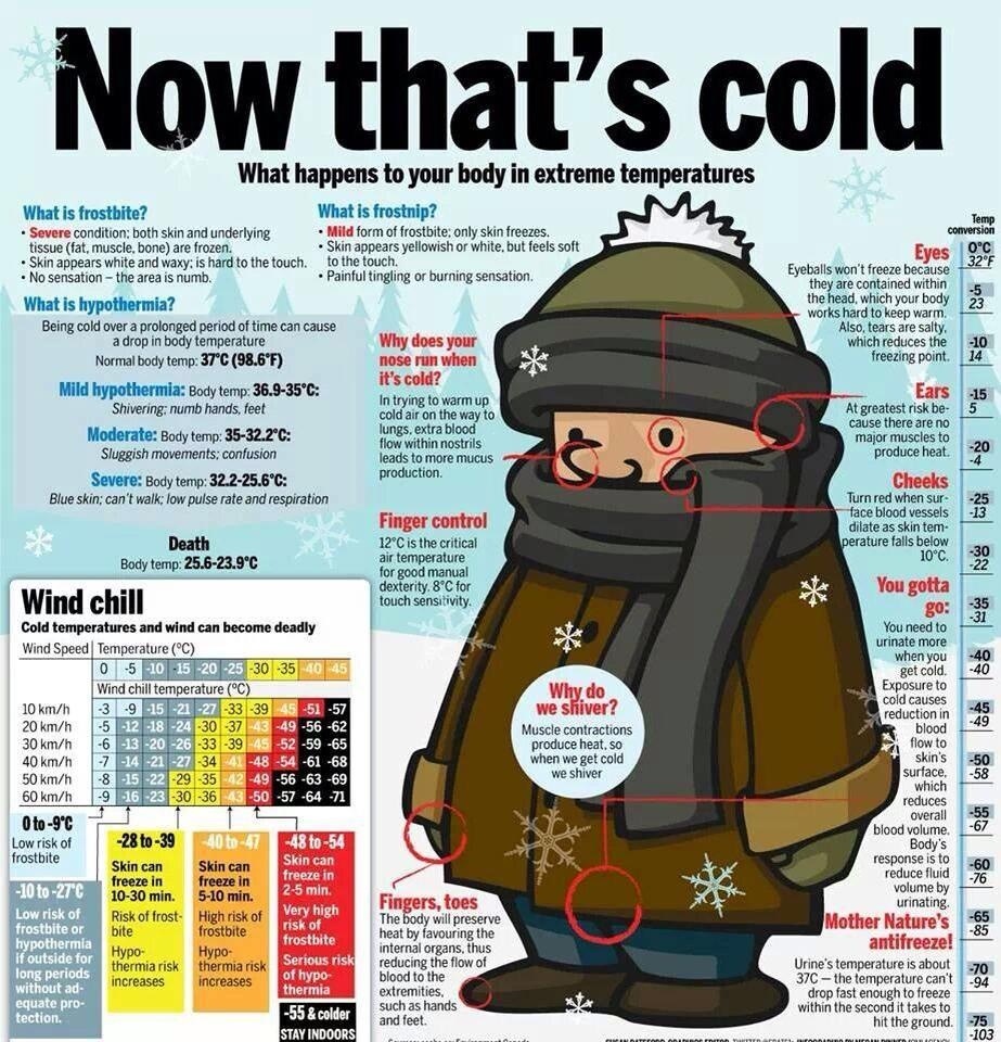 Cold Weather Health Advisory